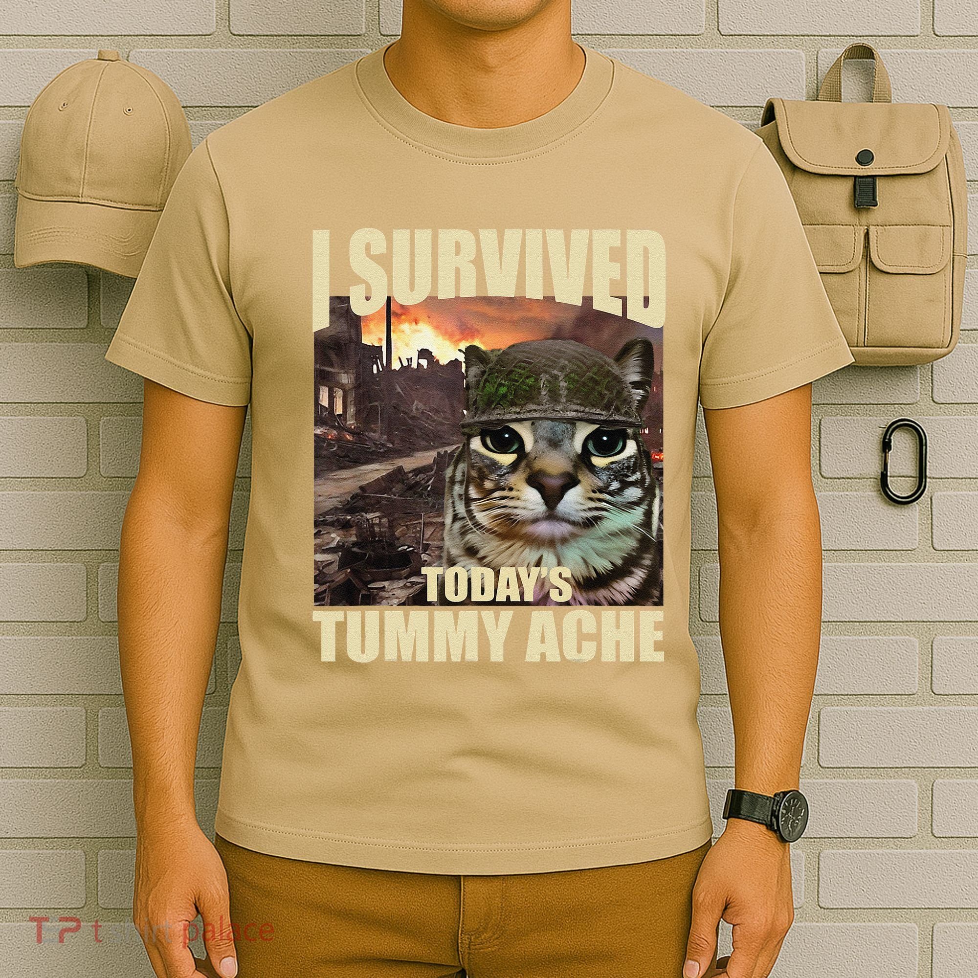 I Survived TodayS Tummy Ache Groovy Funny Cat T-Shirt