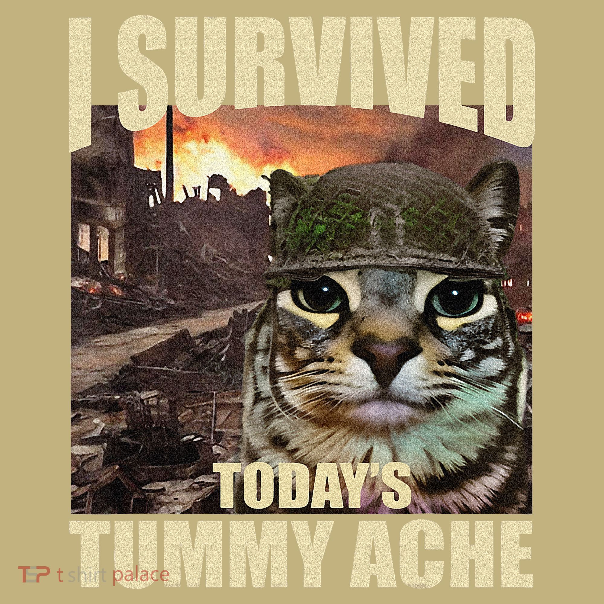 I Survived TodayS Tummy Ache Groovy Funny Cat T-Shirt