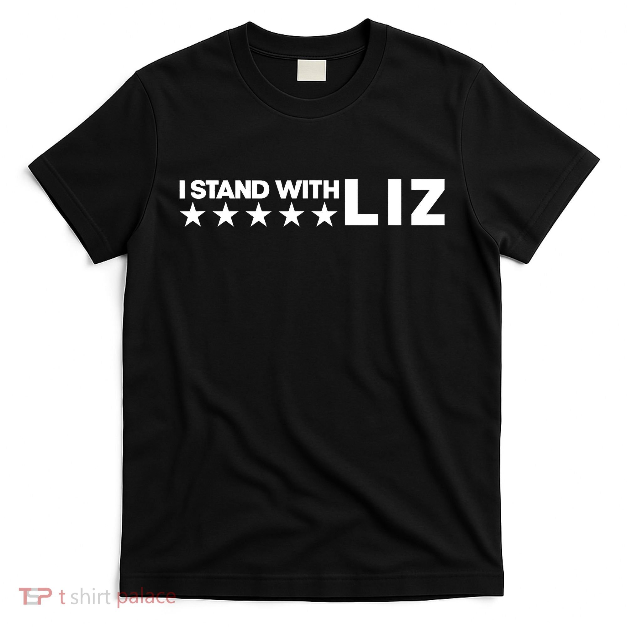 I Stand With Liz Support Liz Cheney Politic T-Shirt