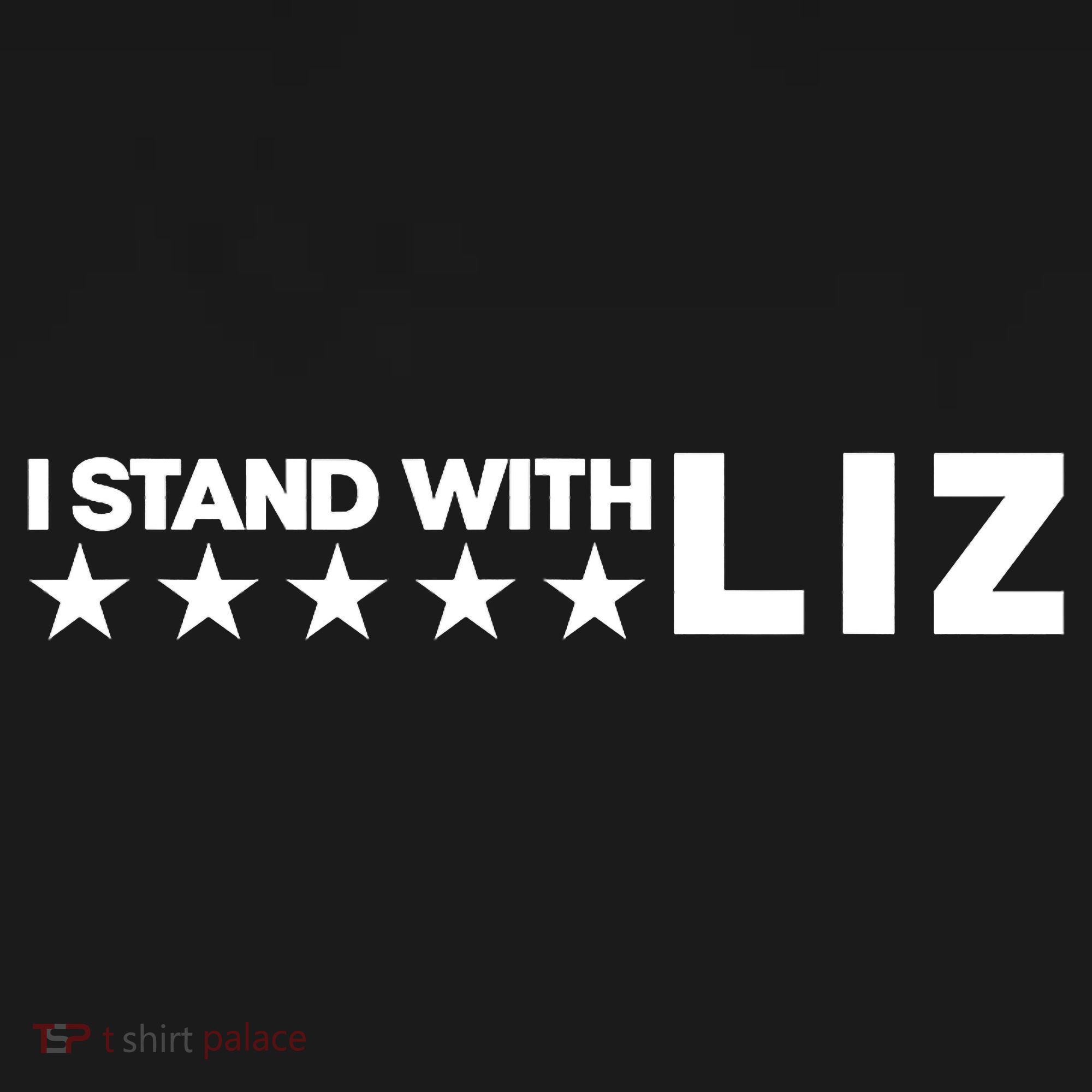 I Stand With Liz Support Liz Cheney Politic Ornament