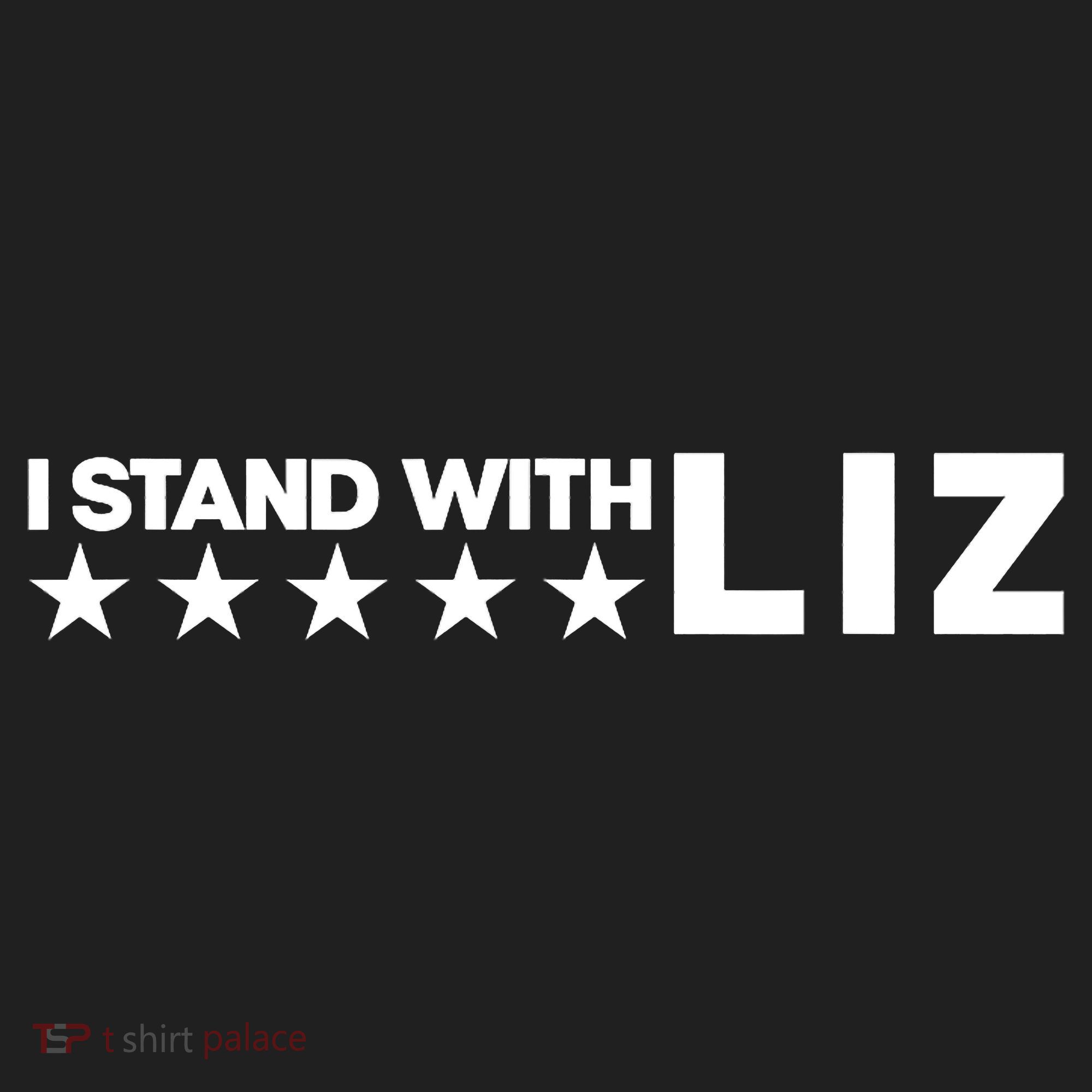 I Stand With Liz Support Liz Cheney Politic Hat