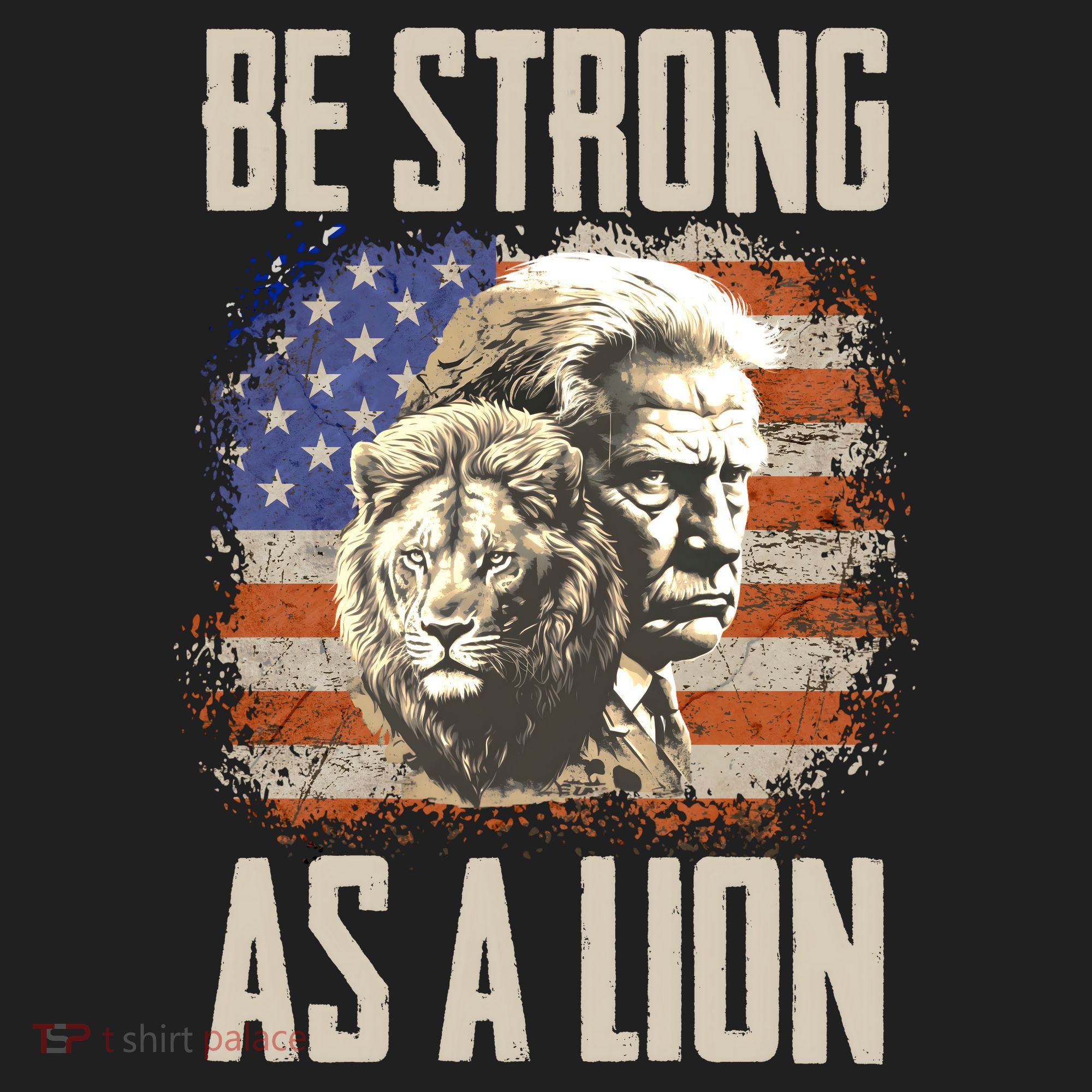I Stand With Trump Be Strong As A Lion Hat