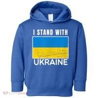I Stand With Ukraine Flag For Ukrainian Lover Gift Toddler Hoodie thumb 0