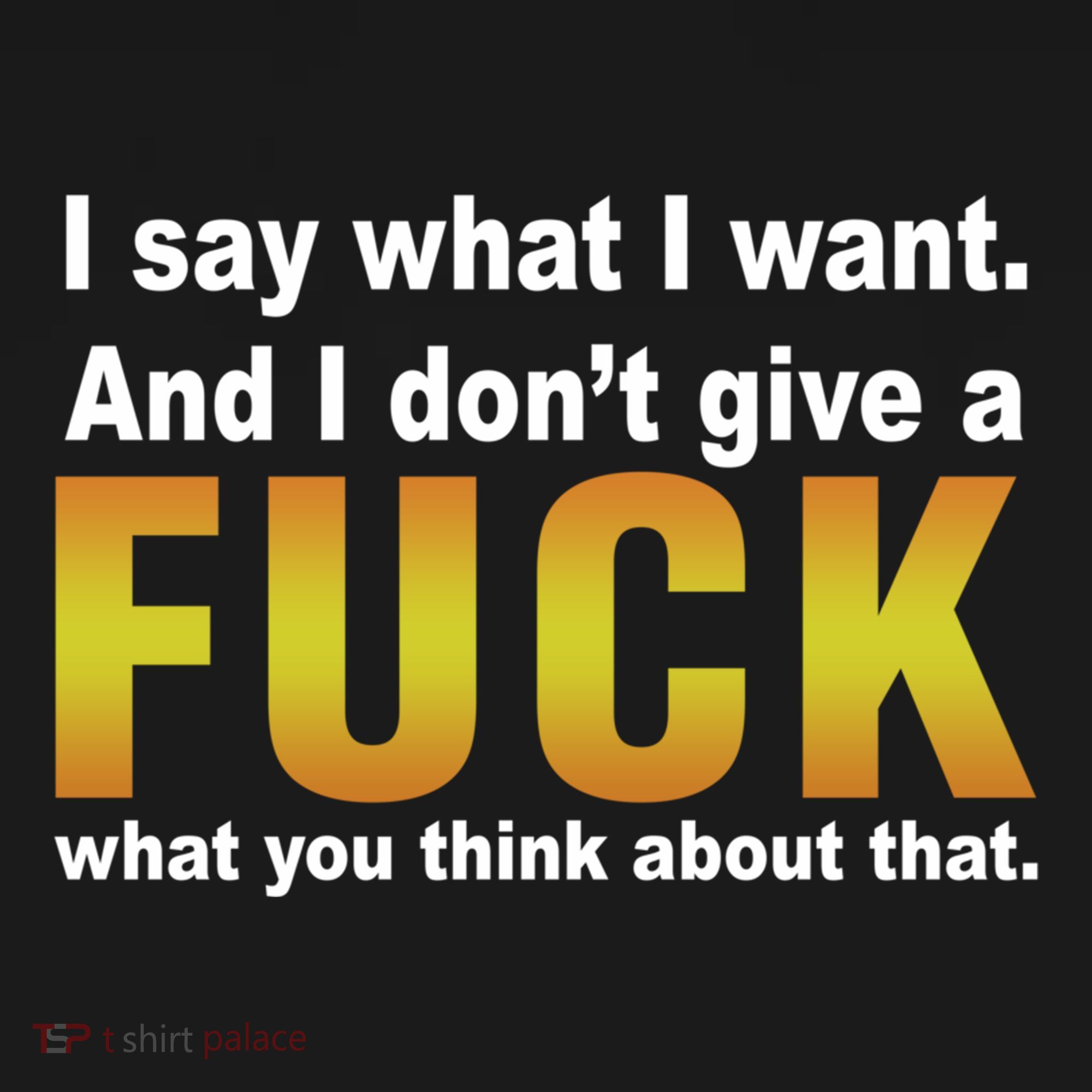 I Say What I Want And I Don't Give A Fuck What You Think Funny Gift Women's Hoodie