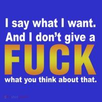 I Say What I Want And I Don't Give A Fuck What You Think Funny Gift T-Shirt thumb 7