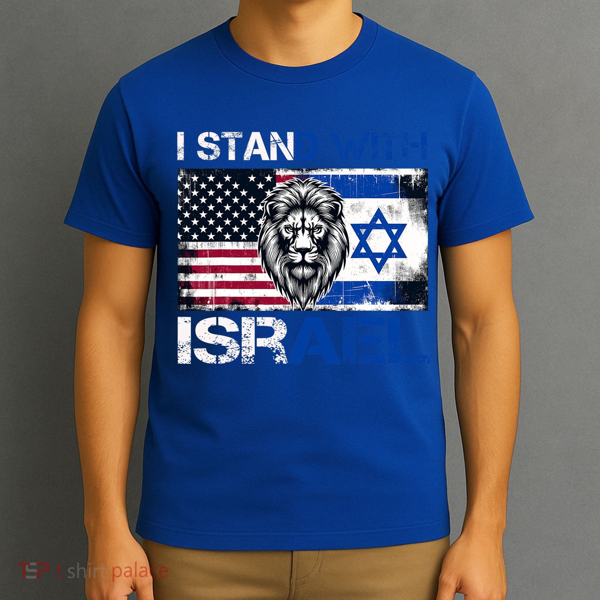 I Stand With Israel US Support Lion Love Israeli Brotherhood T-Shirt