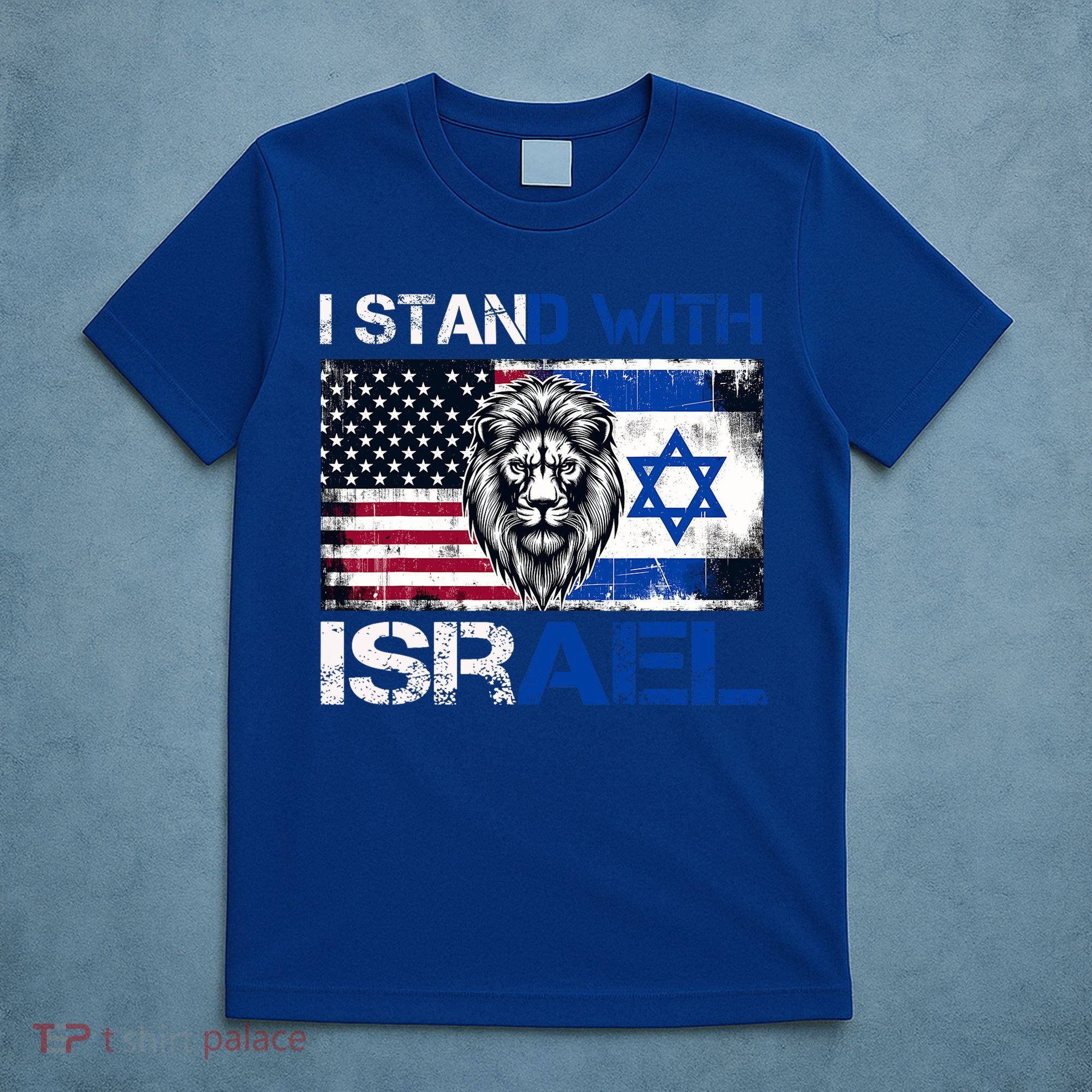 I Stand With Israel US Support Lion Love Israeli Brotherhood T-Shirt