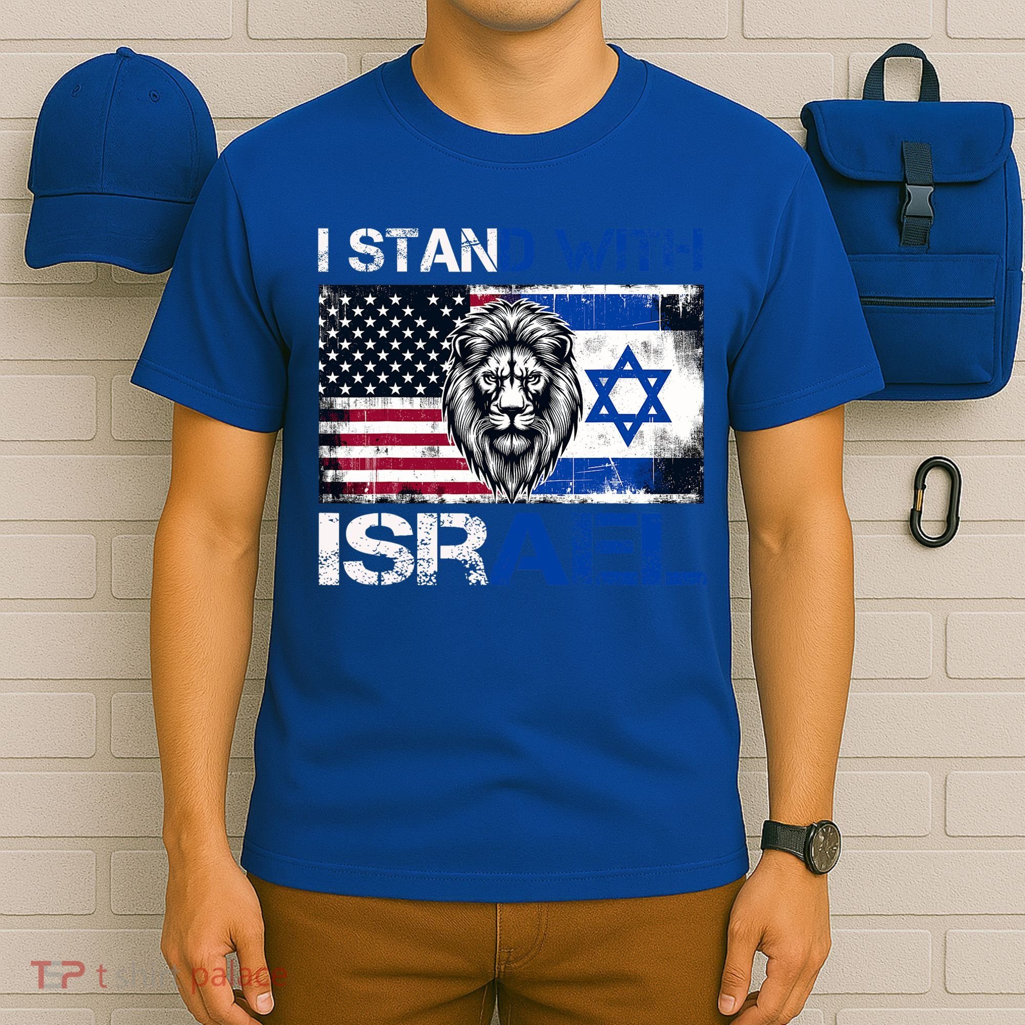 I Stand With Israel US Support Lion Love Israeli Brotherhood T-Shirt