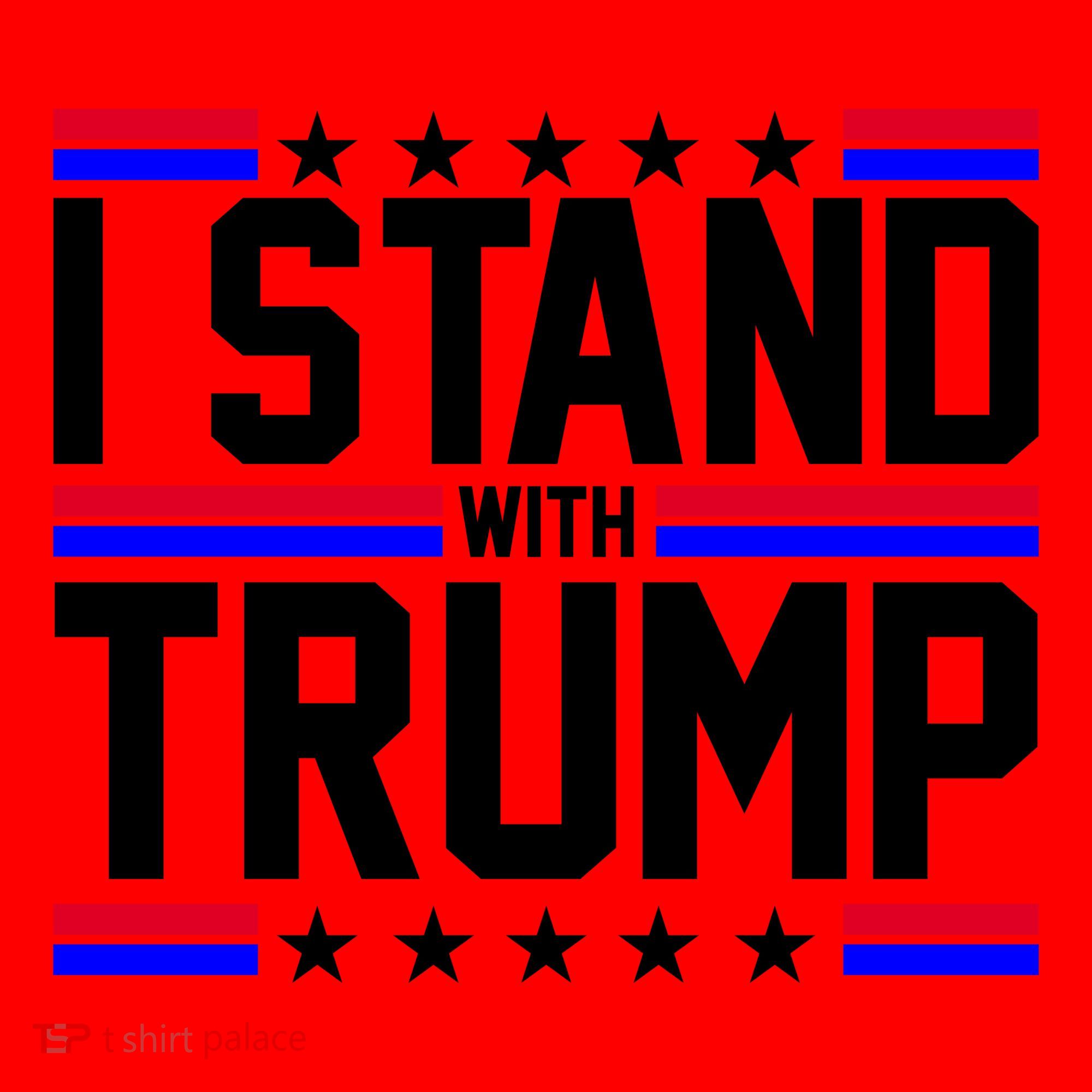I Stand With Trump Usa Election Santa Hat