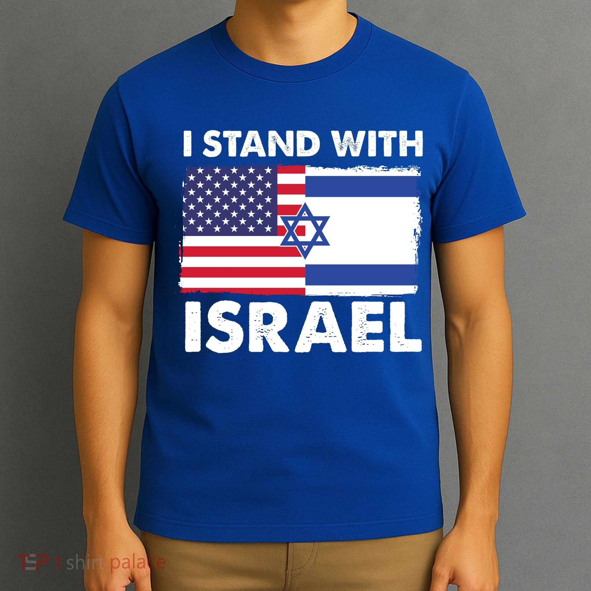 I Stand With Israel Usa Flag T-Shirt