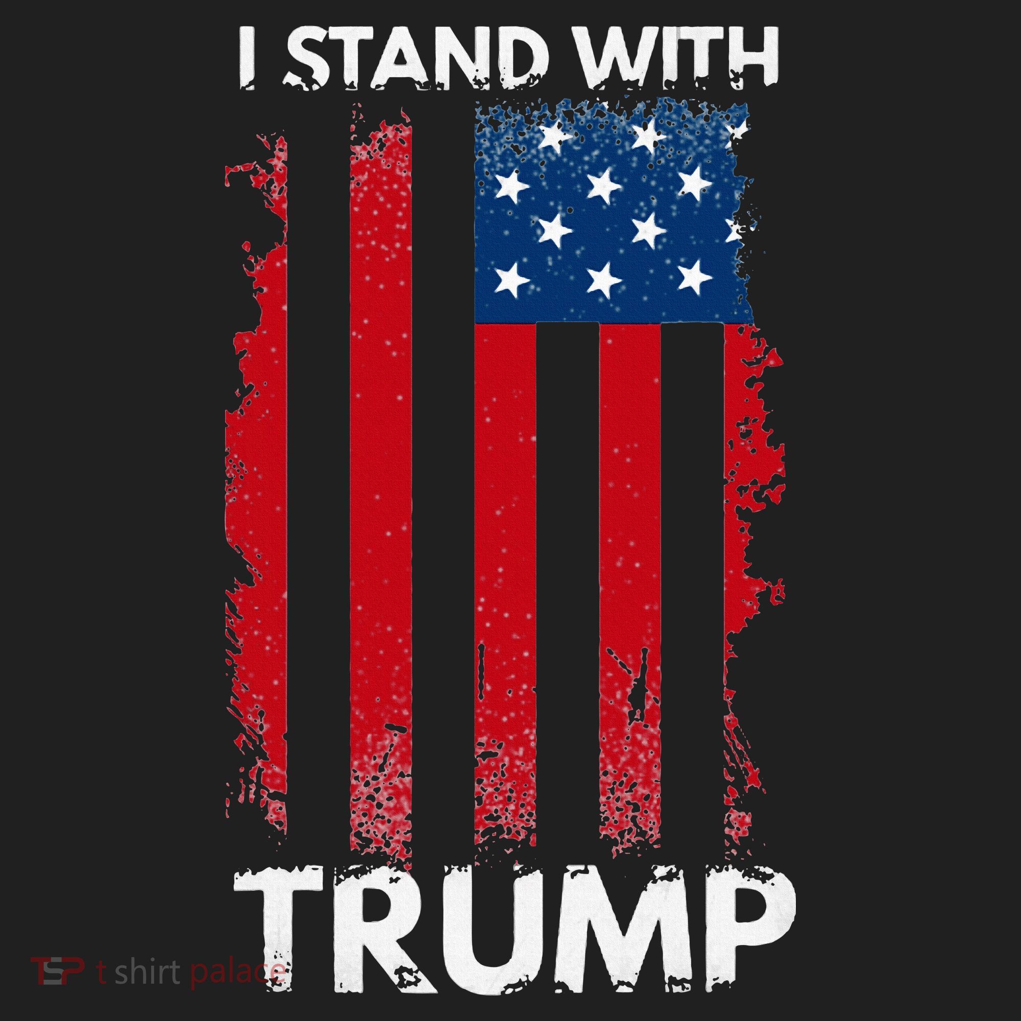 I Stand With Trump Pro Trump Beanie