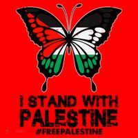 I Stand With Palestine Free Palestine Butterfly Santa Hat thumb 1
