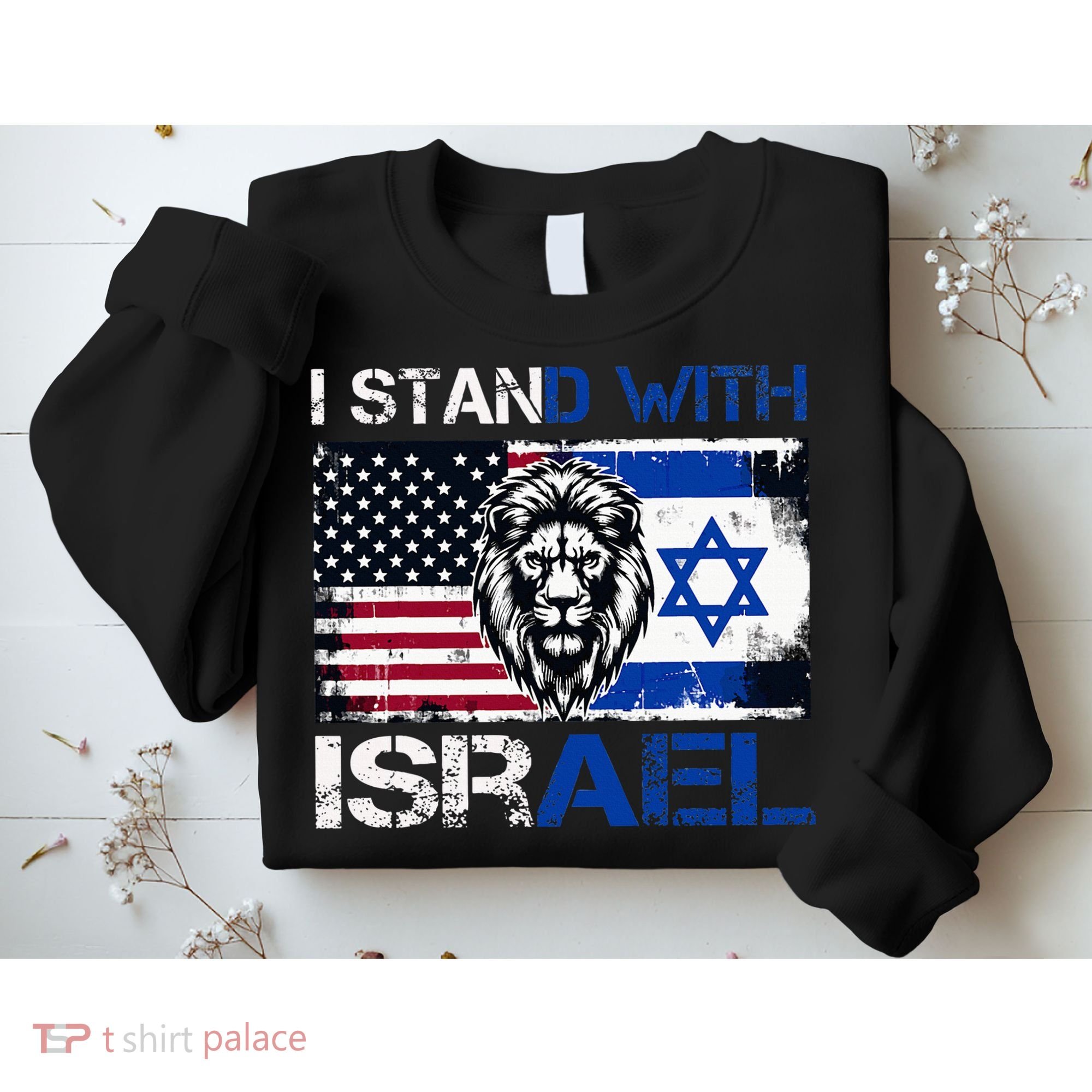 I Stand With Israel US Support Lion Love Israeli Brotherhood Sweatshirt