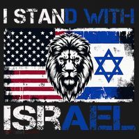 I Stand With Israel US Support Lion Love Israeli Brotherhood T-Shirt thumb 7