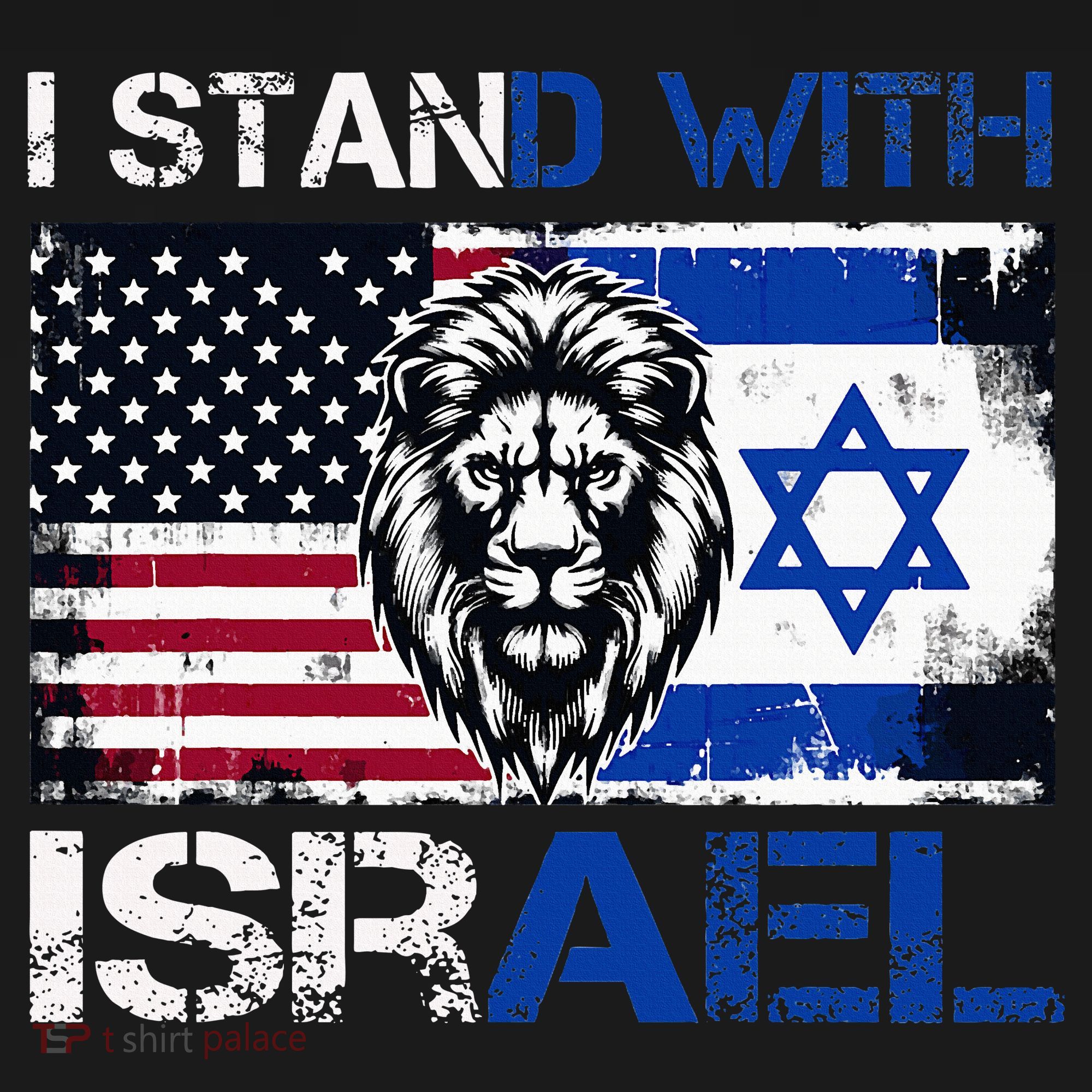 I Stand With Israel US Support Lion Love Israeli Brotherhood T-Shirt