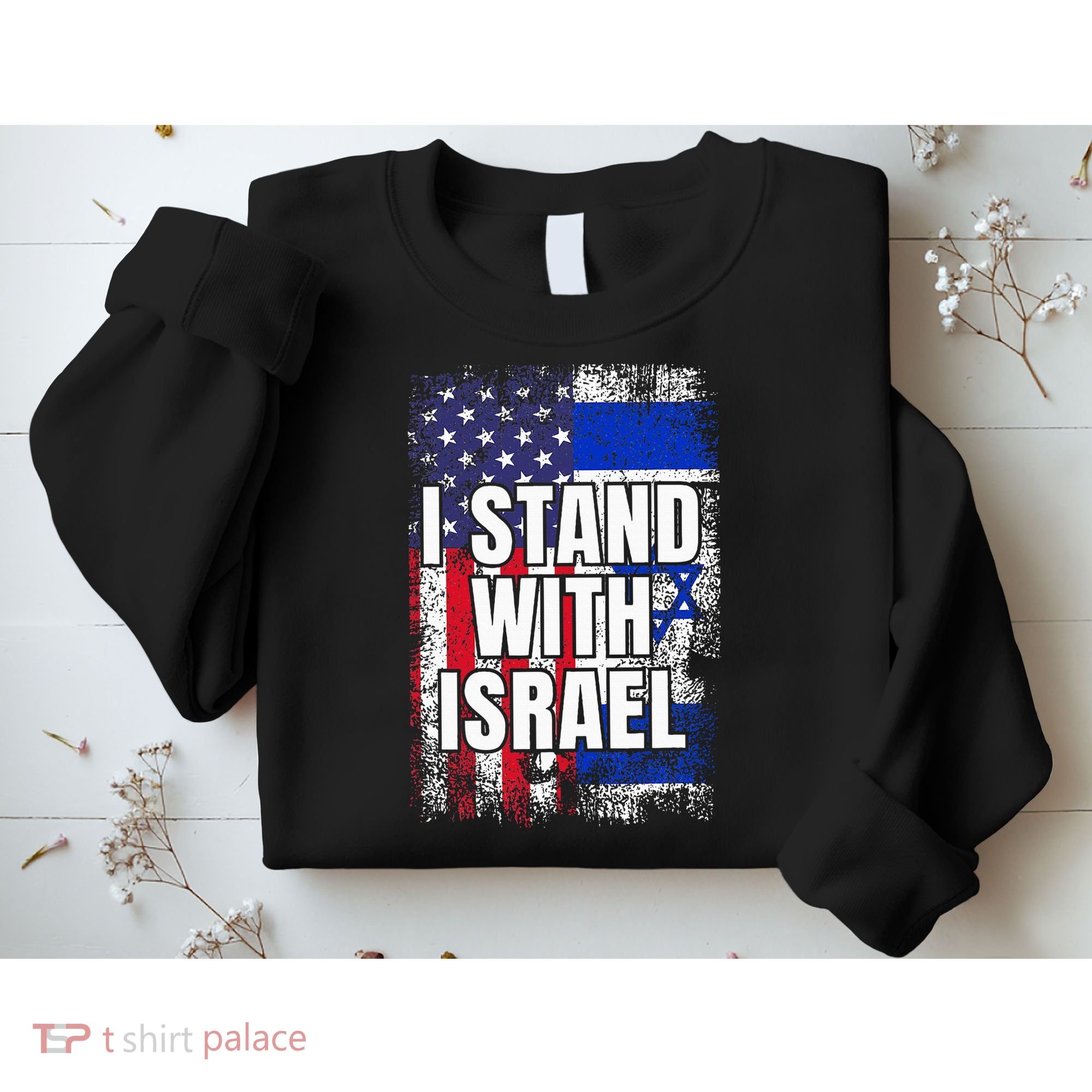 I Stand With Israel USA Israeli Flag Sweatshirt