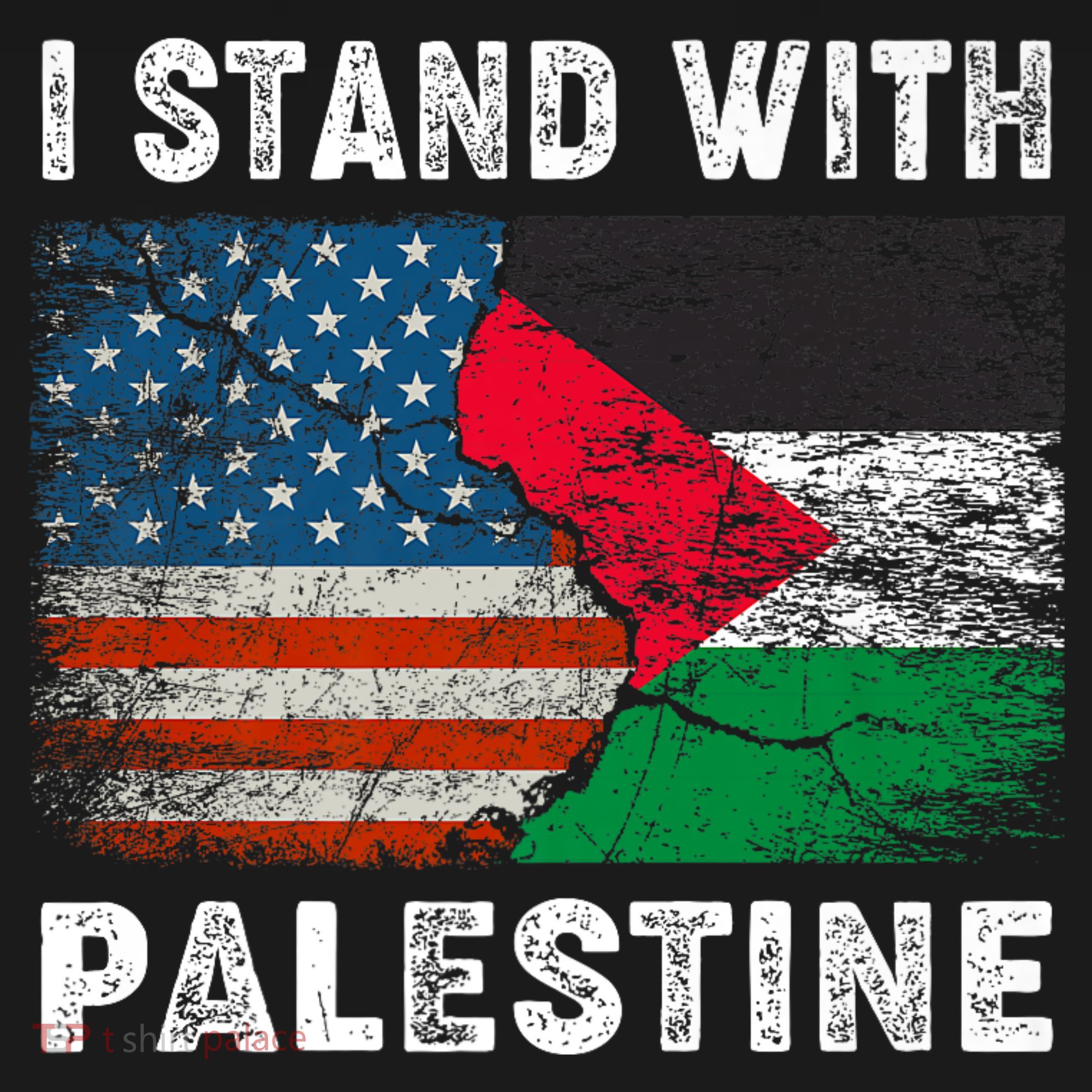 I Stand With Palestine Us Flag Palestinians Flag T-Shirt