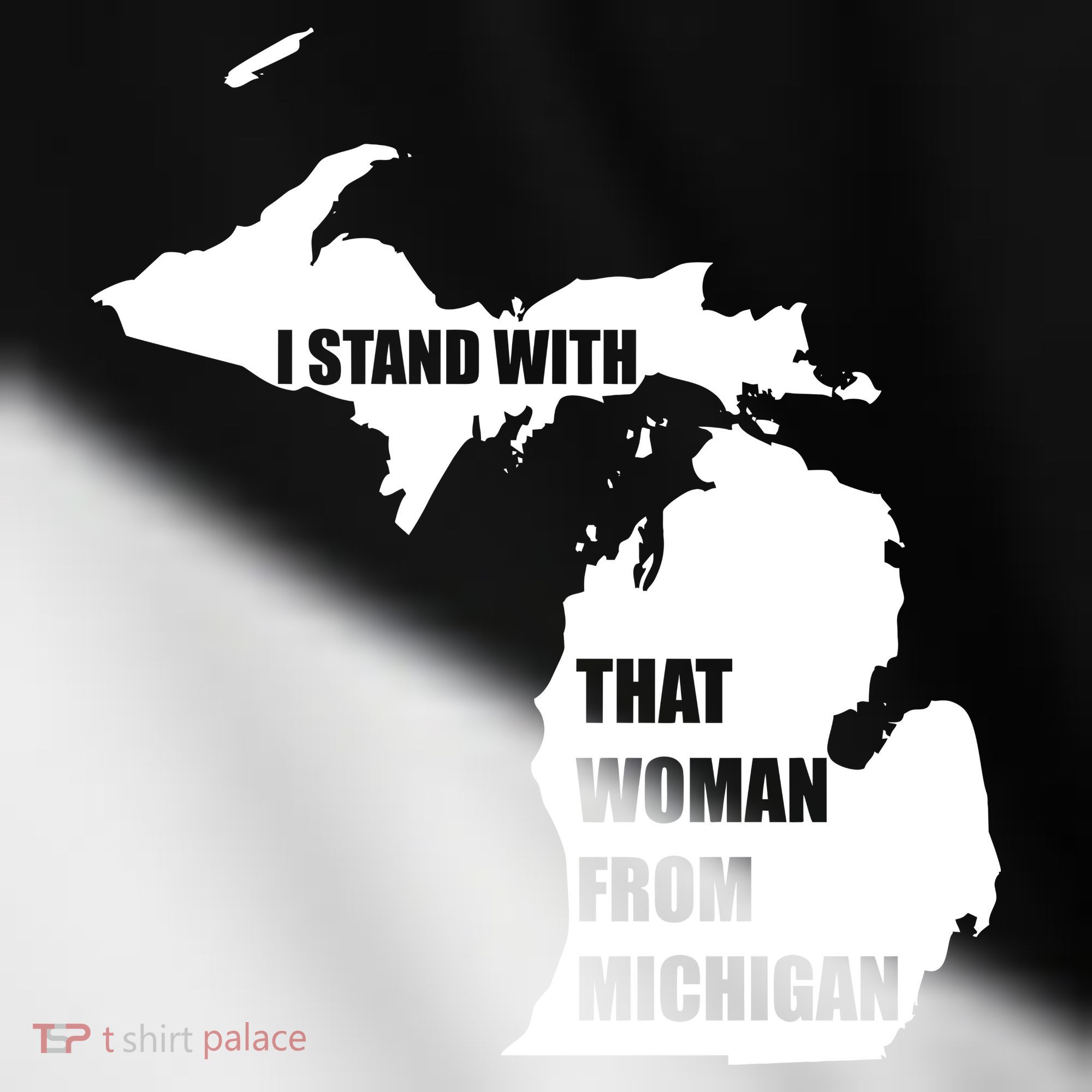 I Stand With That Woman From Michigan Toddler Fine Jersey T-Shirt