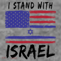 I Stand With Israel Support Israel Toddler Hoodie thumb 2