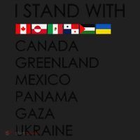 I Stand With Canada Greenland Mexico Panama Gaza Ukraine Beanie thumb 2