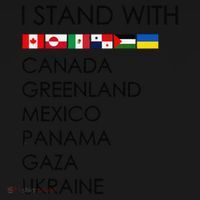 I Stand With Canada Greenland Mexico Panama Gaza Ukraine Toddler Hoodie thumb 2