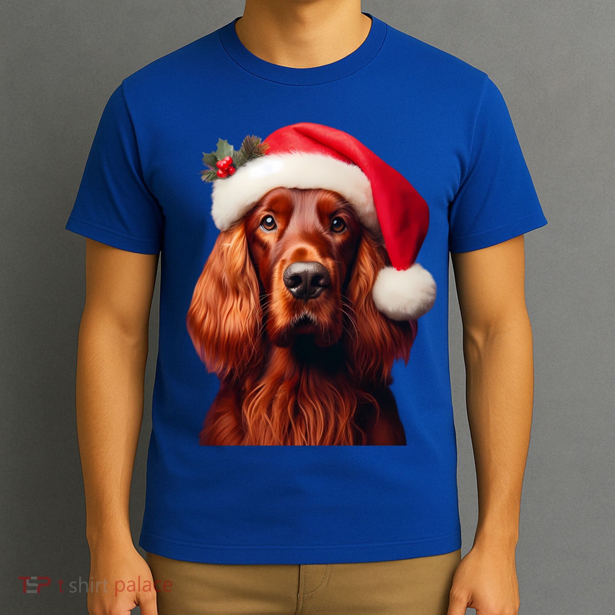 Irish Setter With Santa Hat Christmas Dog Owner Lover Mom Gift T-Shirt