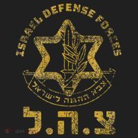 Idf Support Zahal Zava Israel Defense Forces Jewish Heb Beanie thumb 2
