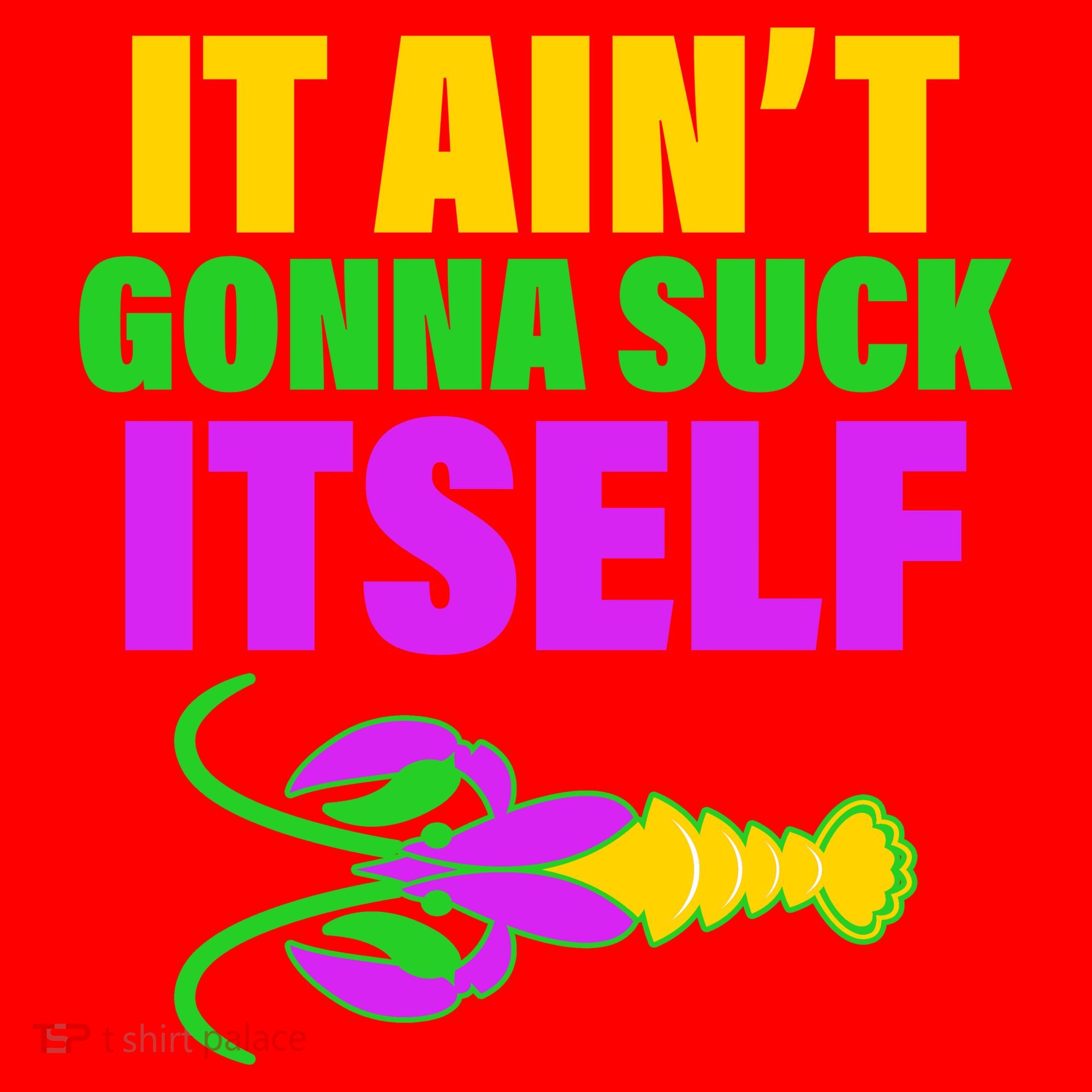 It Ain't Gonna Suck Itself Offensives Mardi Gras Santa Hat