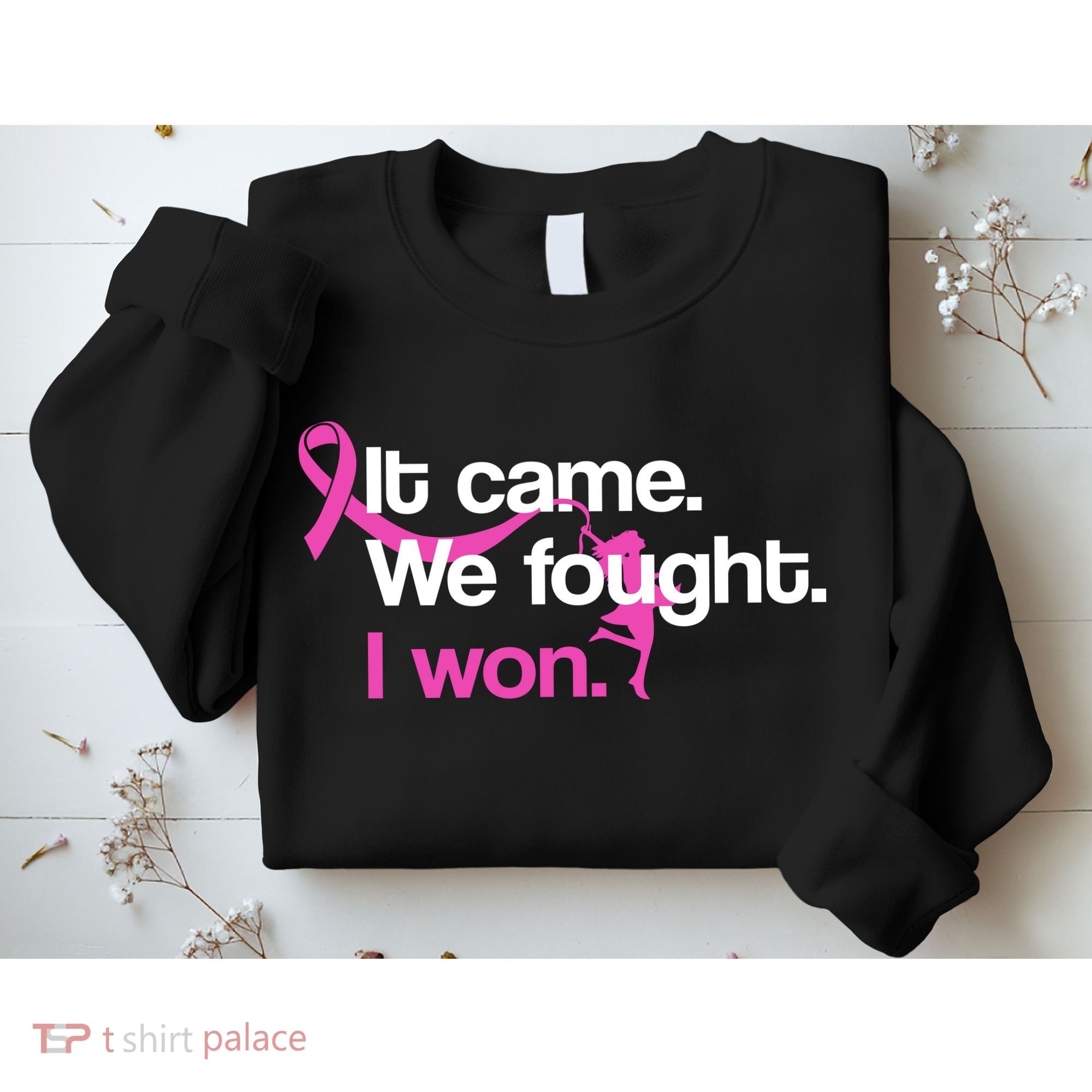 It Came We Fought I Won Breast Cancer Sweatshirt