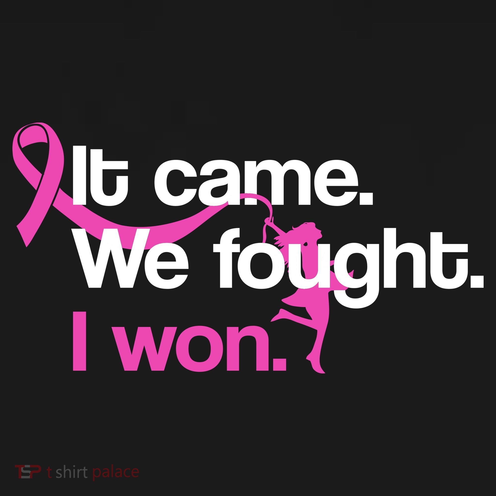 It Came We Fought I Won Breast Cancer Toddler Hoodie