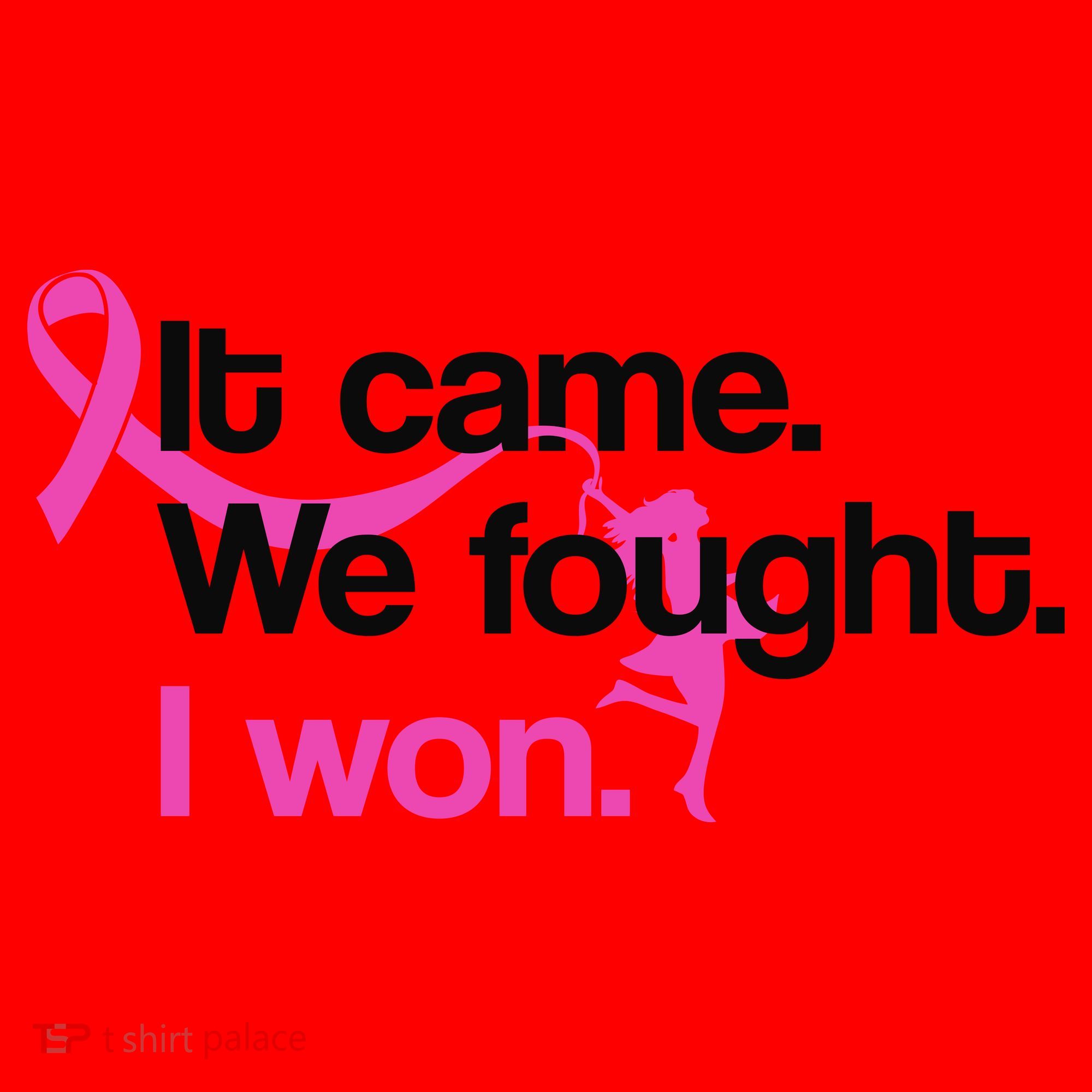 It Came We Fought I Won Breast Cancer Santa Hat