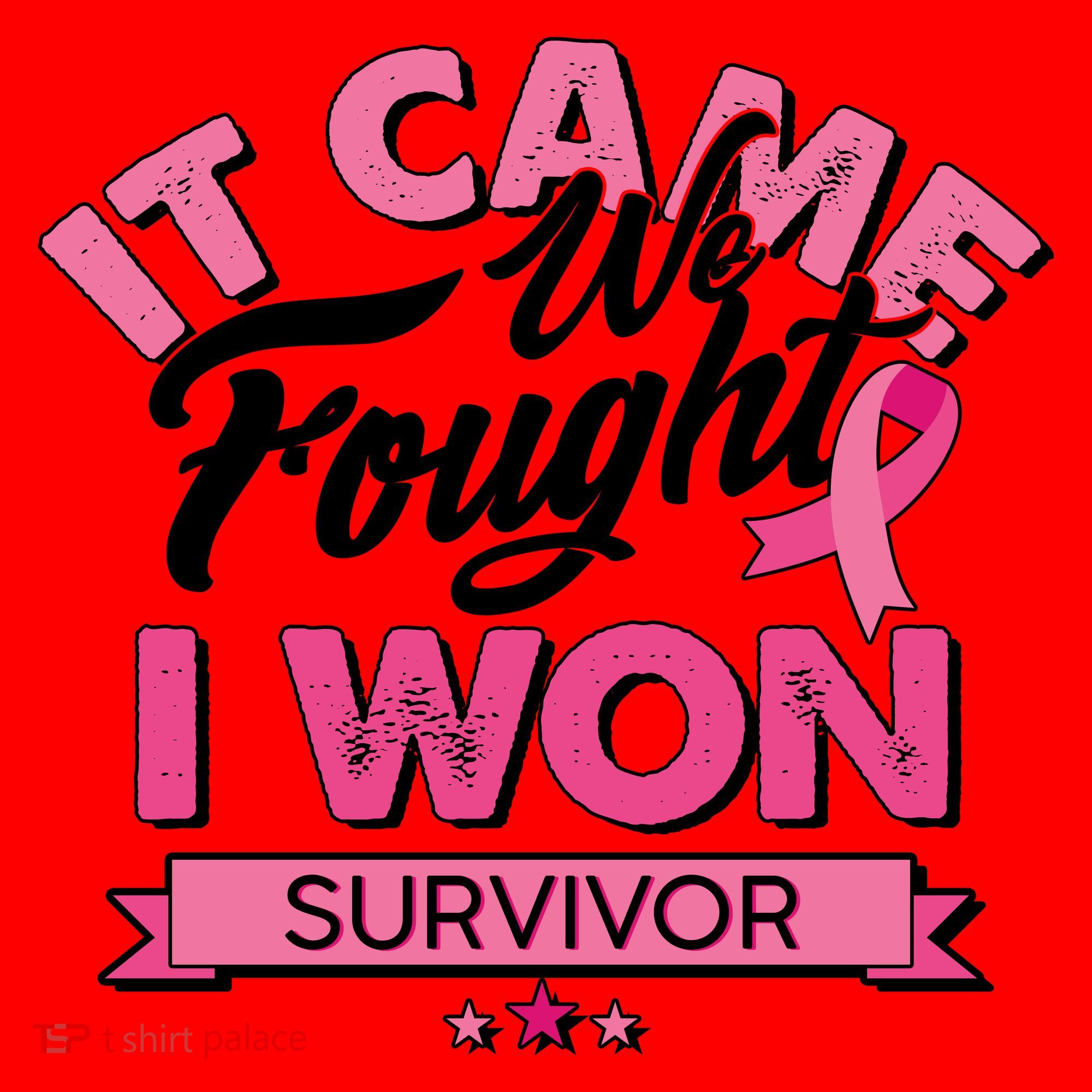 It Came We Fought I Won Breast Cancer Survivor Santa Hat