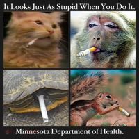 It Looks Just As Stupid When You Do It Backpack thumb 2