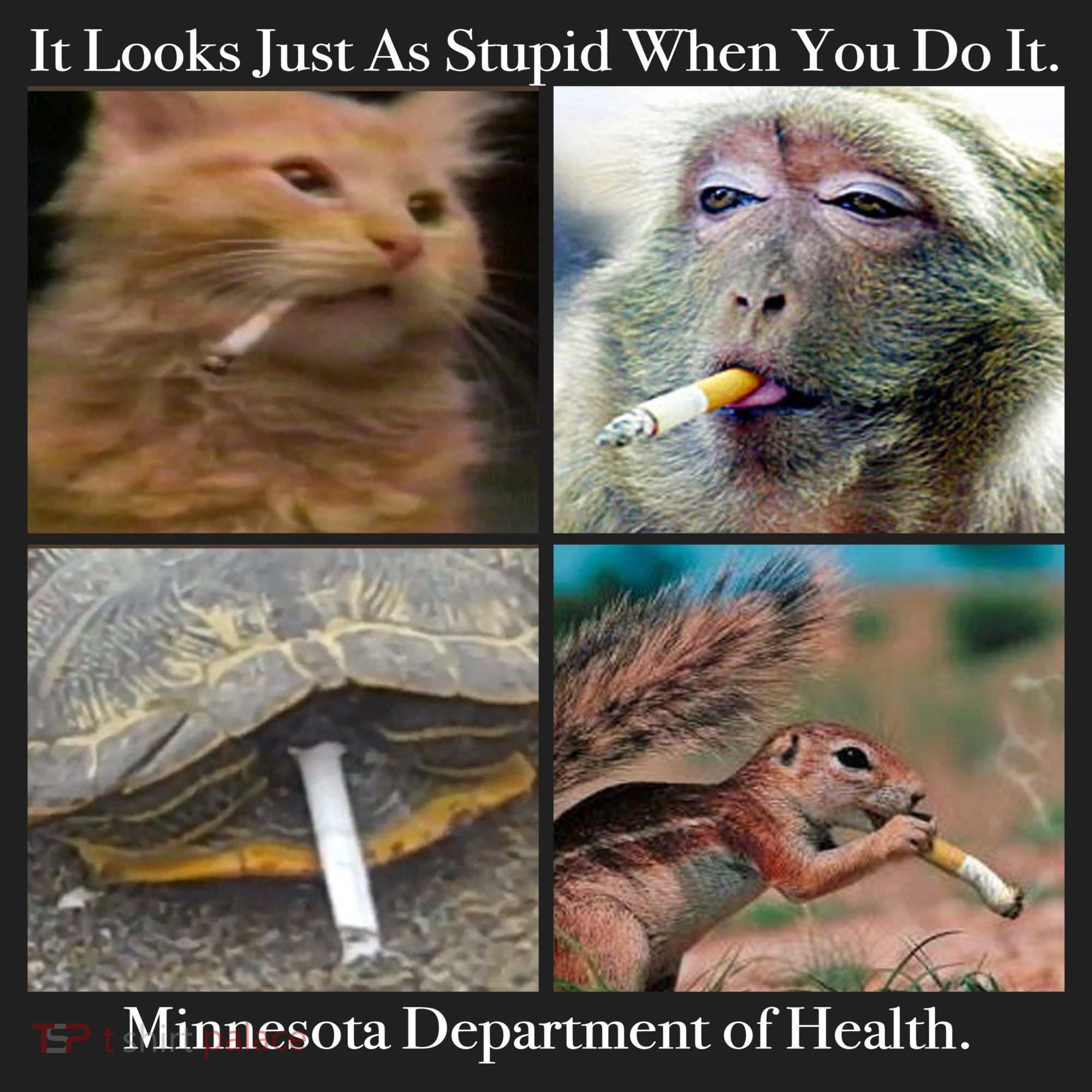 It Looks Just As Stupid When You Do It Tumbler