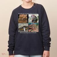 It Looks Just As Stupid When You Do It Women's Sweatshirt thumb 0