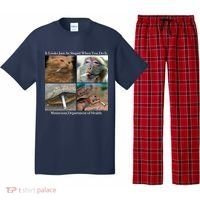 It Looks Just As Stupid When You Do It Pajama Set thumb 0