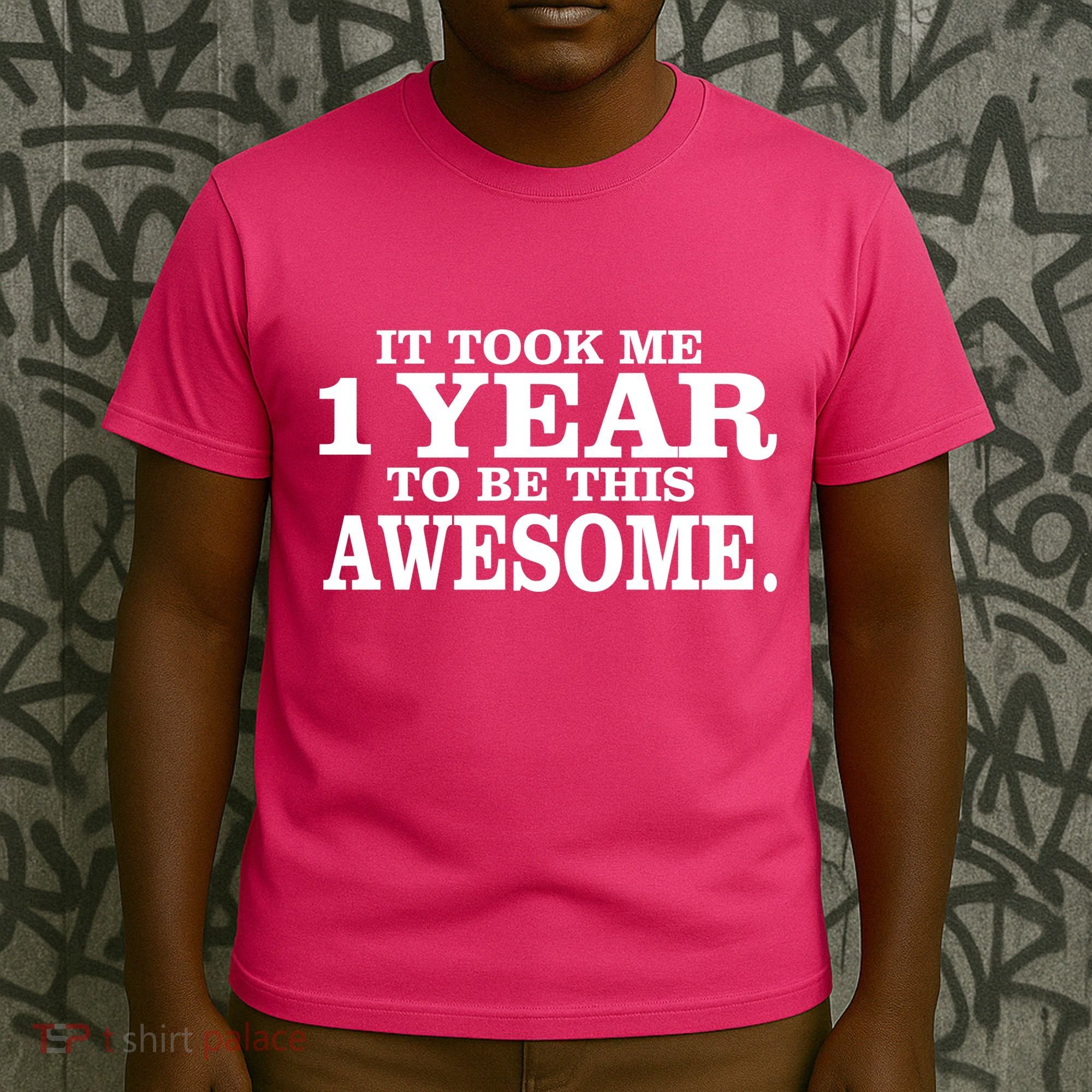 It Took One Year To Be This Awesome T-Shirt