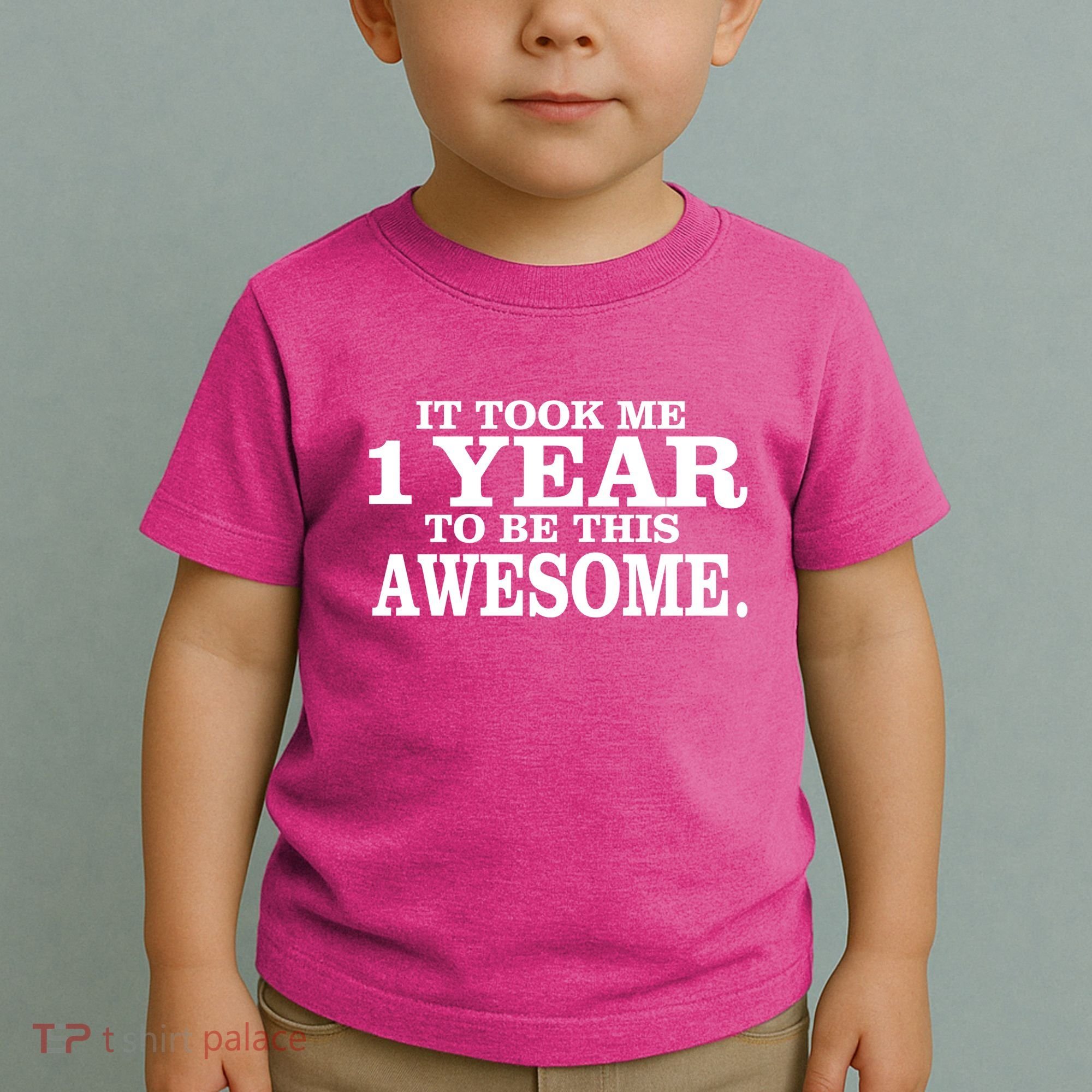 It Took One Year To Be This Awesome Toddler T-Shirt