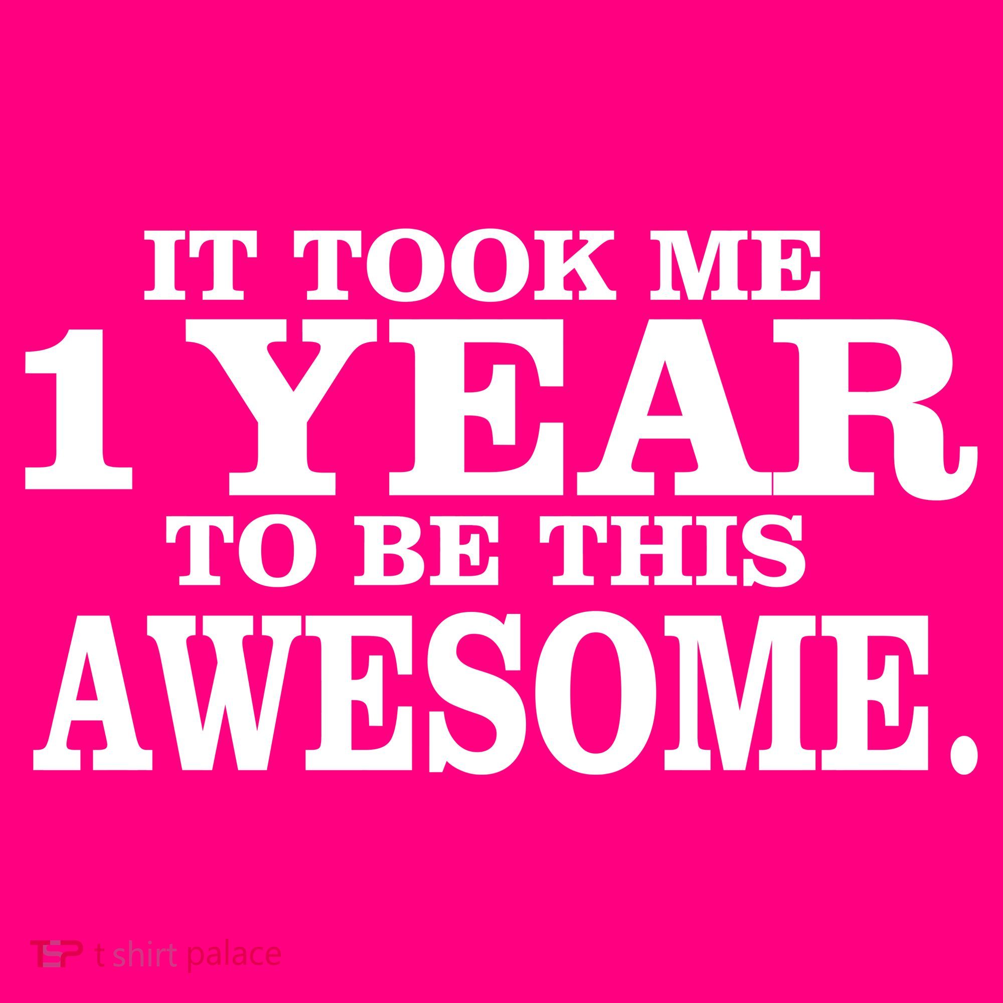 It Took One Year To Be This Awesome Women's T-Shirt