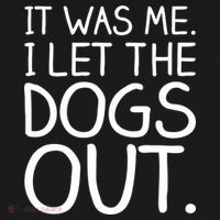 It Was Me I Let The Dogs Out Funny Hilarious Bucket Hat thumb 4
