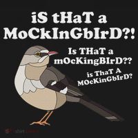 Is That A Mockingbird Funny Mockingbird Meme Button thumb 1