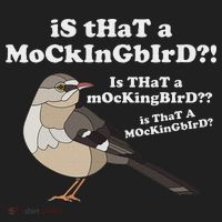 Is That A Mockingbird Funny Mockingbird Meme Beanie thumb 2