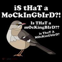 Is That A Mockingbird Funny Mockingbird Meme Women's Long Sleeve Shirt thumb 2