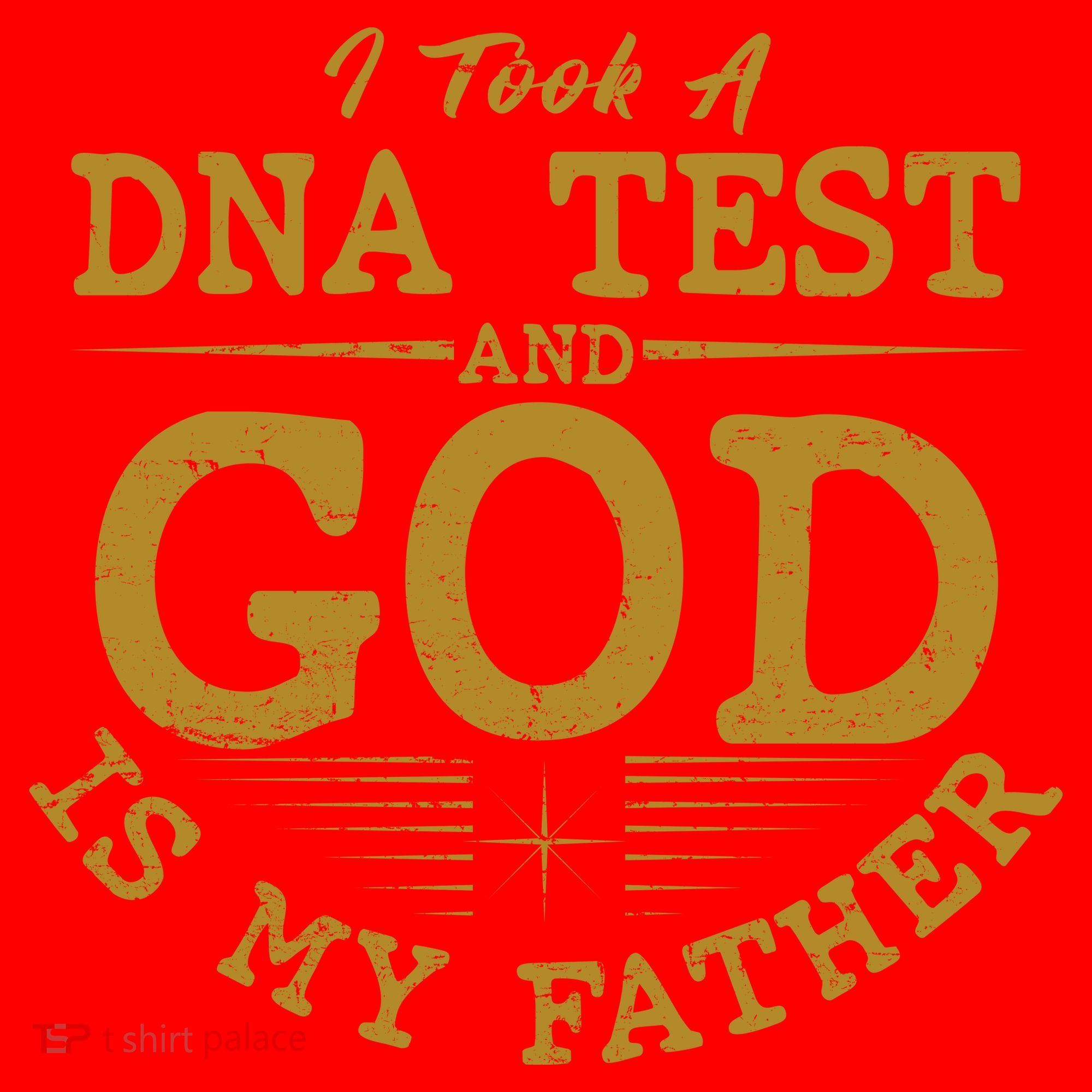 I Took A DNA Test And God Is My Father Santa Hat