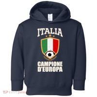 Italia Campione D'Europa Soccer Flag Shield Logo Toddler Hoodie thumb 0