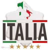 Italia Italy Soccer Football Champions Ceramic Ornament thumb 2