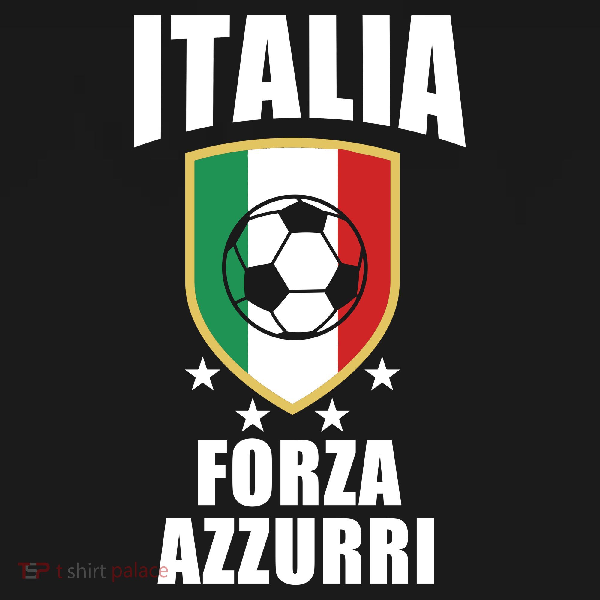Italia Soccer Forza Azzurri Coaster
