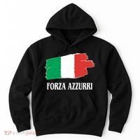 Italy Soccer Azzurro Forza Italia Team Flag Hoodie thumb 0