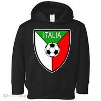 Italy Soccer Flag Emblem Italia Toddler Hoodie thumb 0