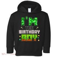 I'M The Birthday Boy Party Video Gamer Pixel Number Toddler Hoodie thumb 0